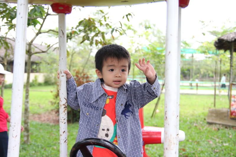 IMG_2245.jpg picture by nvquangcm
