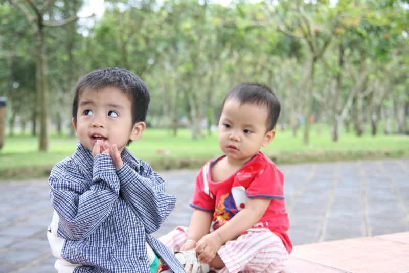 IMG_2268.jpg picture by nvquangcm