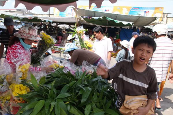 IMG_2272_resize.jpg picture by nvquangcm