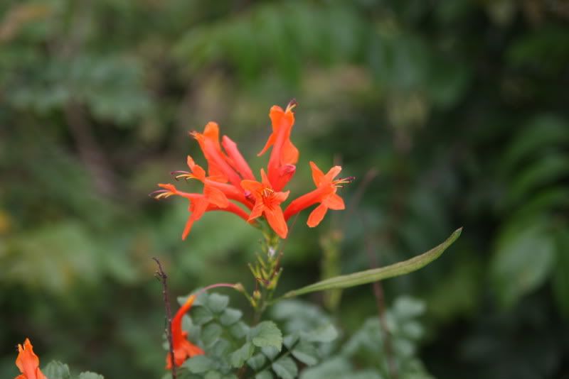 IMG_2341.jpg picture by nvquangcm