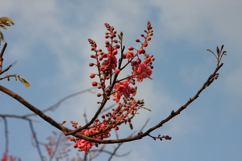 IMG_3473.jpg picture by nvquangcm