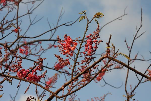 IMG_3474_resize.jpg picture by nvquangcm