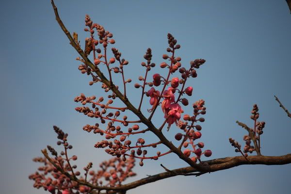 IMG_3495_resize.jpg picture by nvquangcm