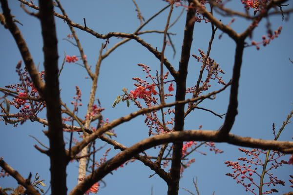 IMG_3496_resize.jpg picture by nvquangcm