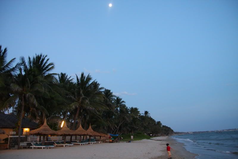 IMG_4059_resize.jpg picture by nvquangcm