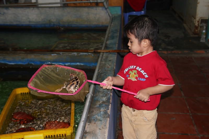 IMG_4124_resize.jpg picture by nvquangcm