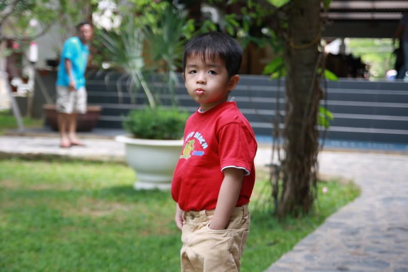 IMG_4286_resize.jpg picture by nvquangcm