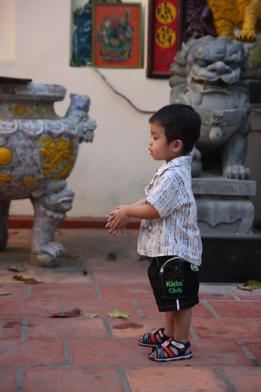 IMG_5683.jpg picture by nvquangcm