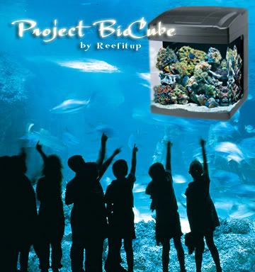 ProjectBioCube.jpg