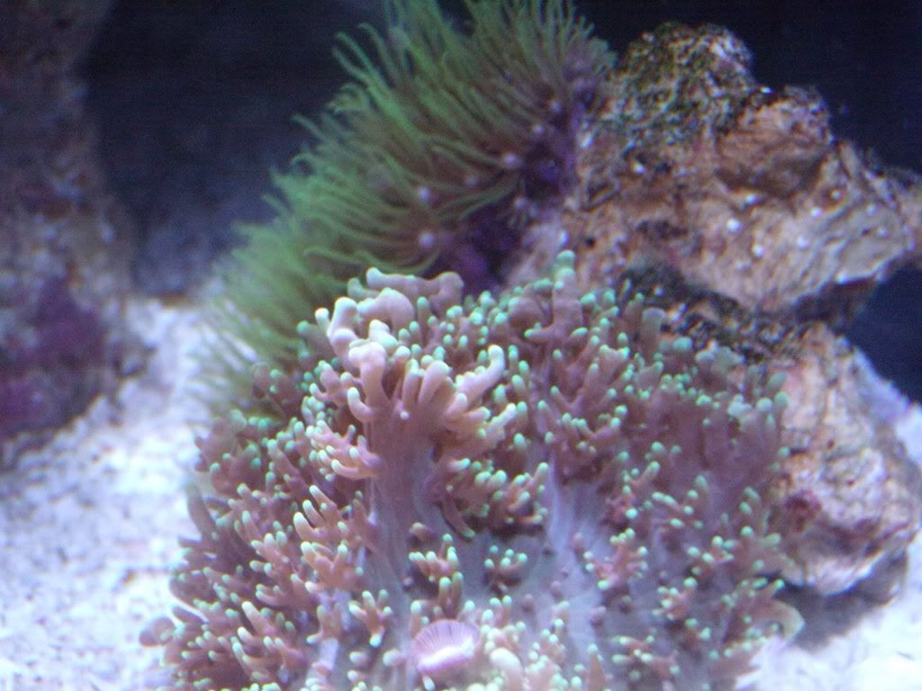 GEDC0353.jpg