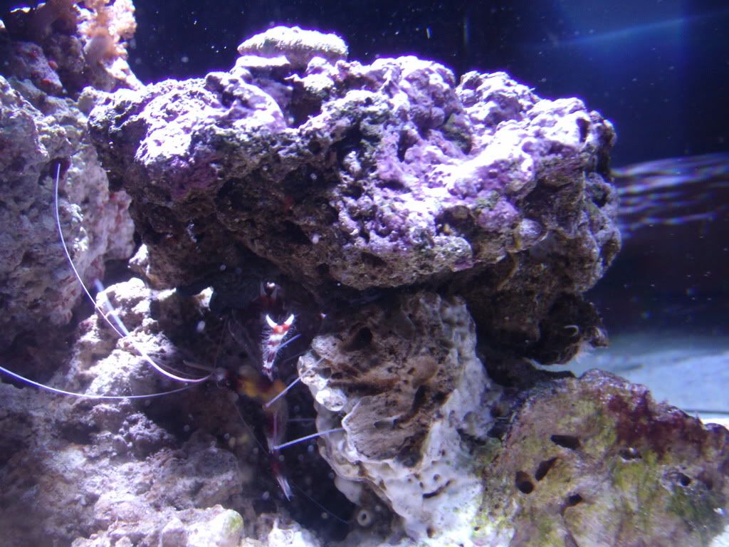 GEDC0368.jpg