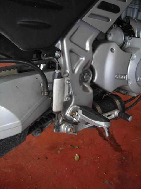 DSCN0298.jpg