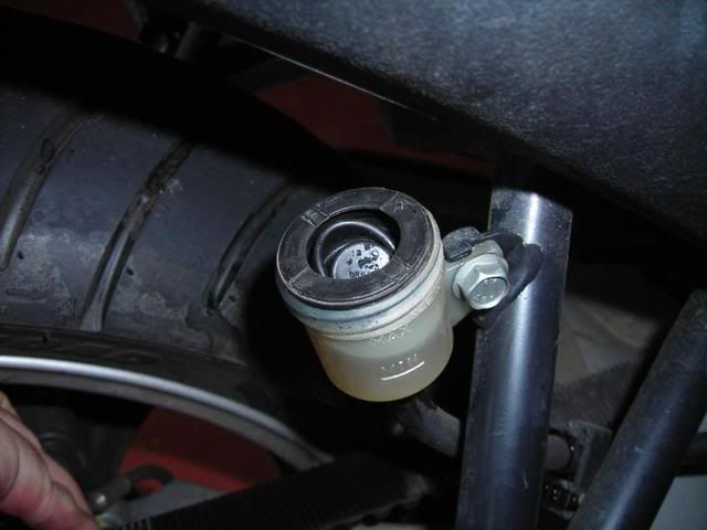 DSCN0309.jpg