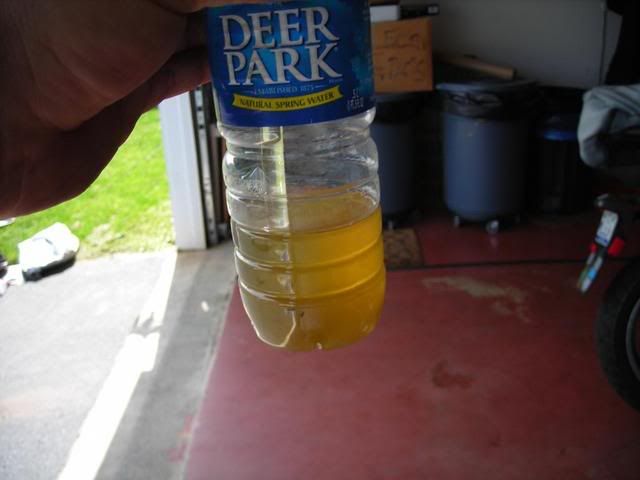 DSCN0312.jpg