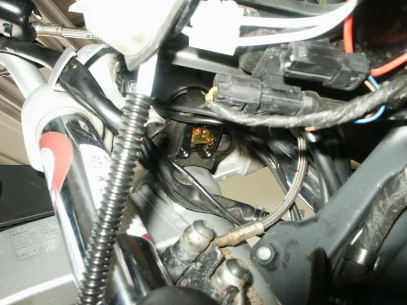 PICT0343.jpg