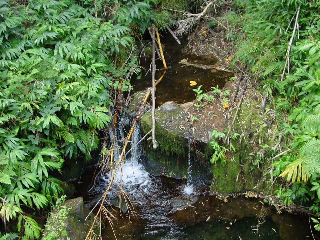 DSC03078.jpg