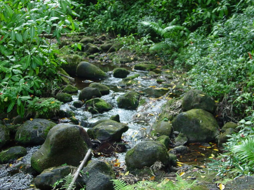 DSC03102.jpg