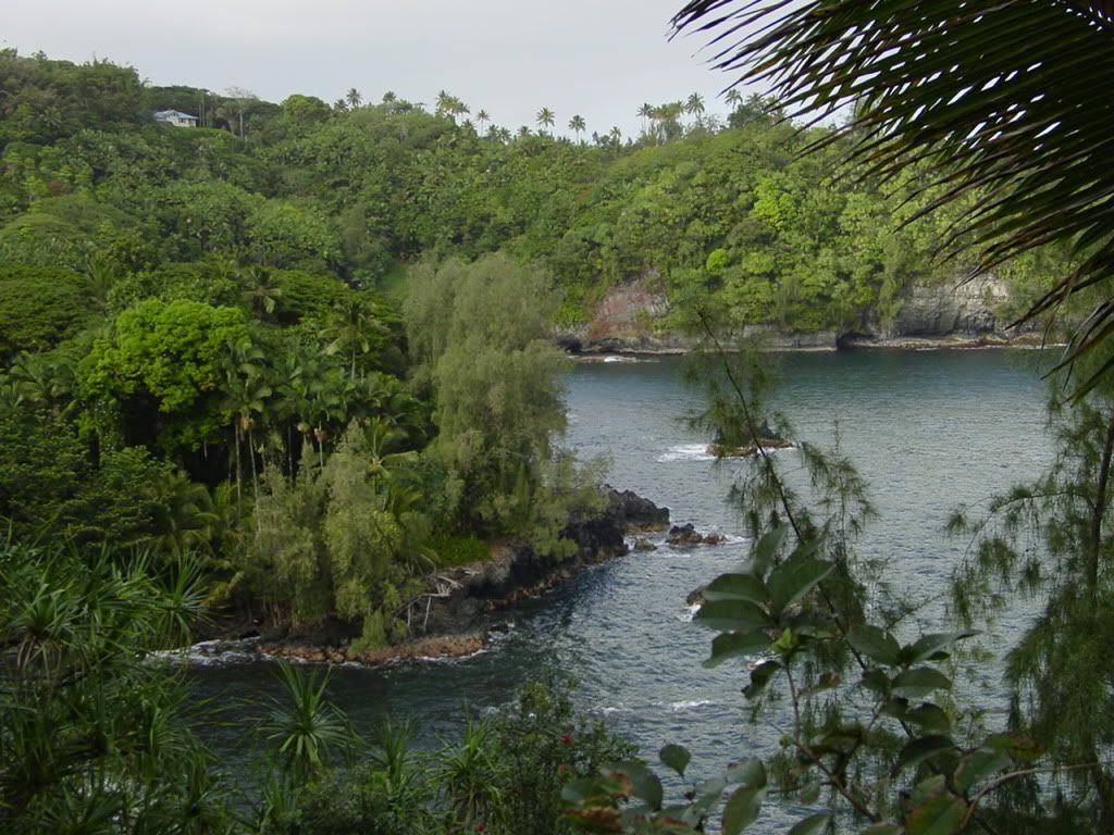 DSC03105.jpg