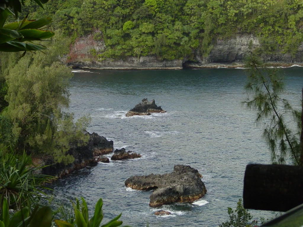 DSC03107.jpg