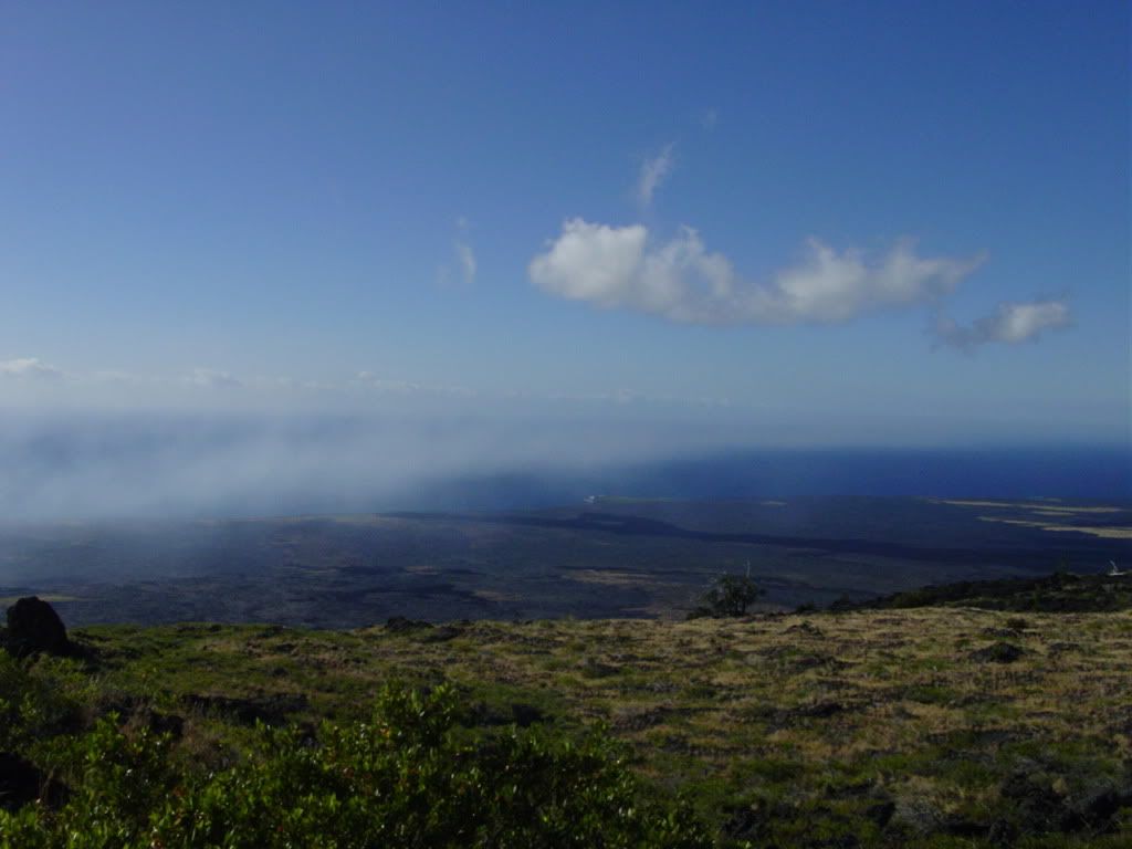 DSC03123.jpg