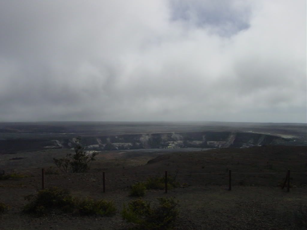 DSC03136.jpg