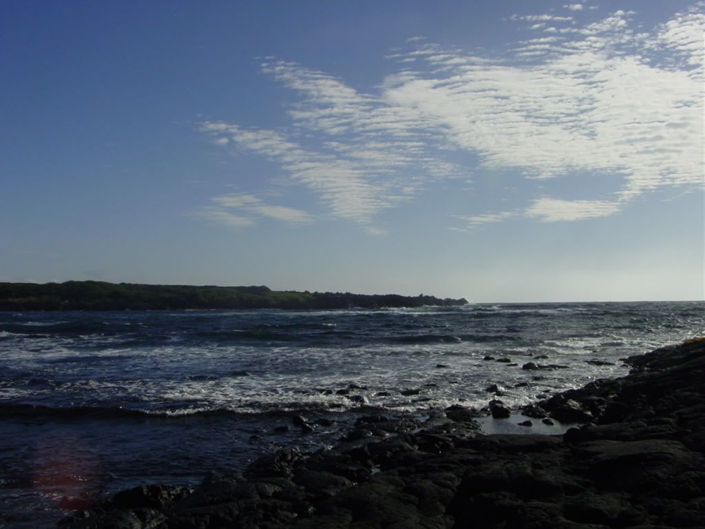 DSC03173.jpg