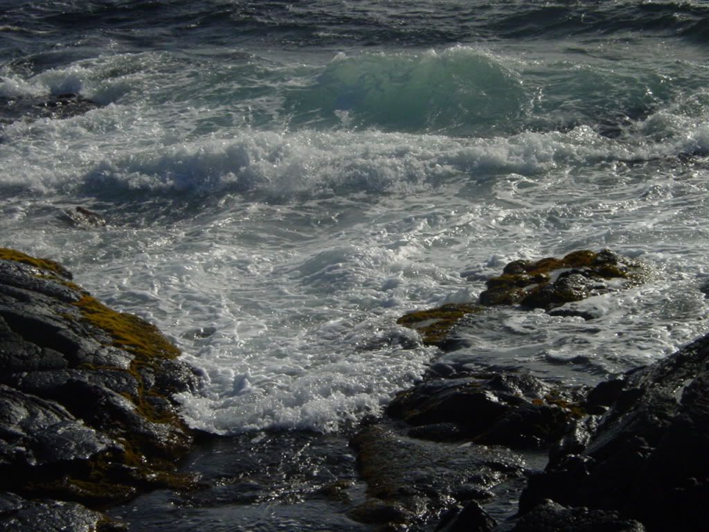 DSC03176.jpg