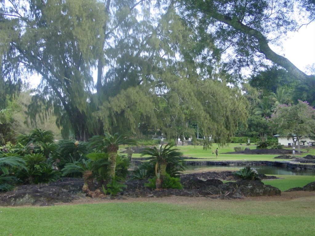 DSC03235.jpg