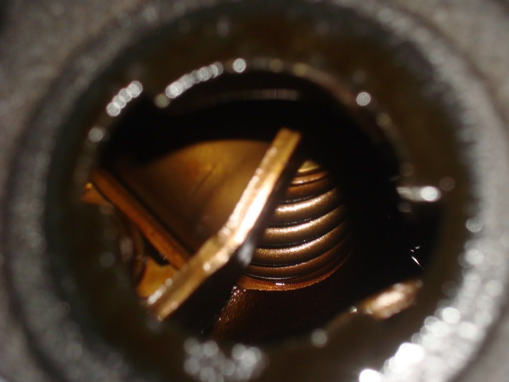 DSC04764.jpg