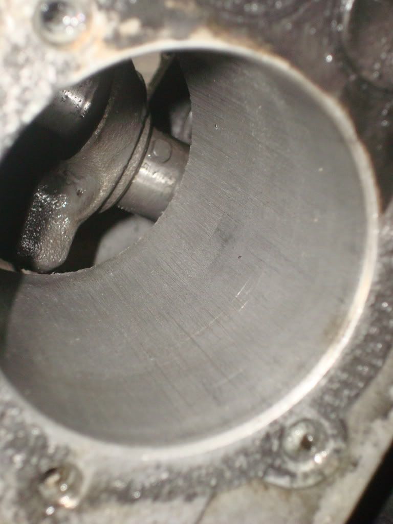 DSC03659.jpg