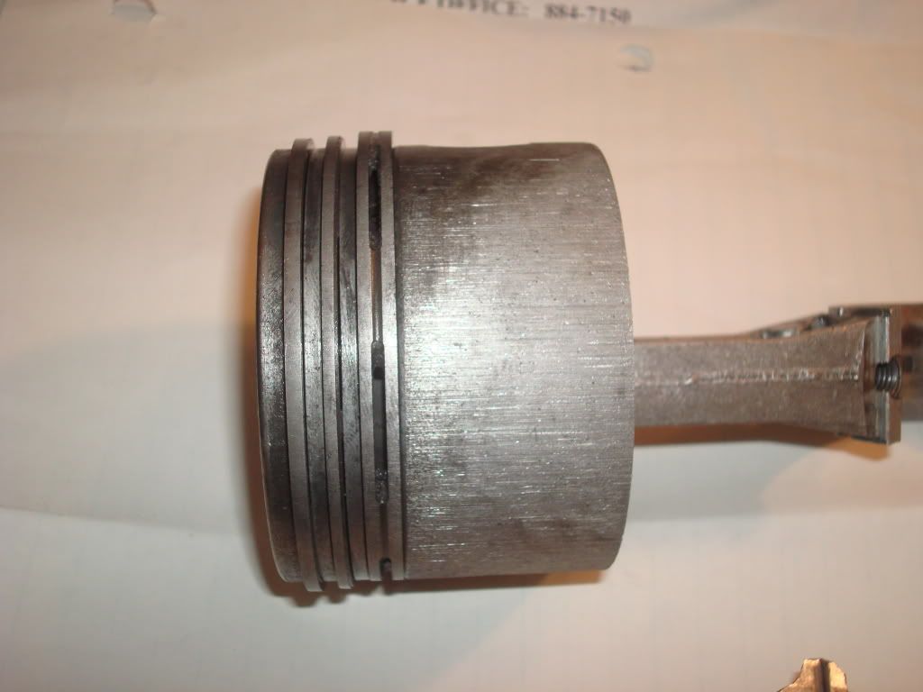 DSC03669.jpg