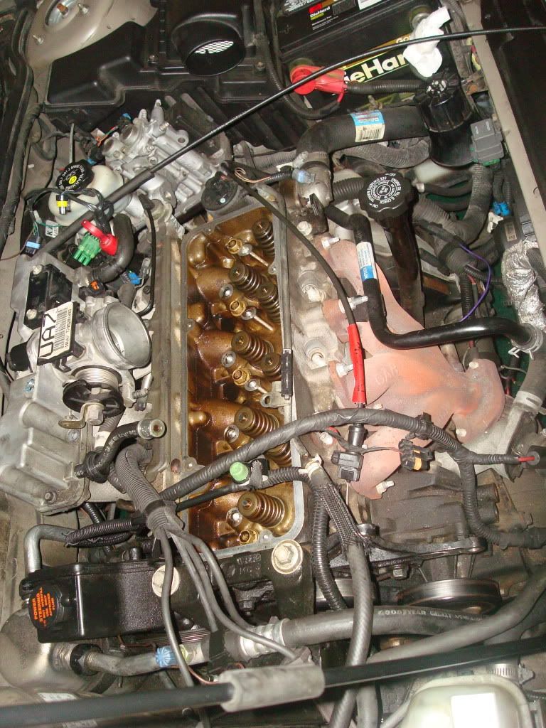 DSC04801.jpg