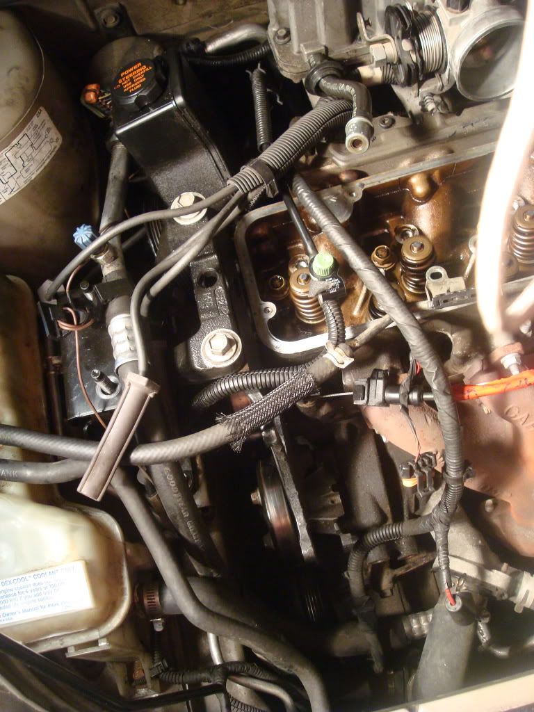 DSC04805.jpg