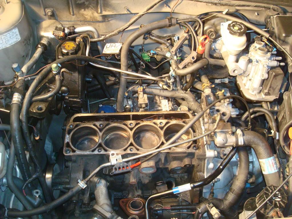 DSC04823.jpg