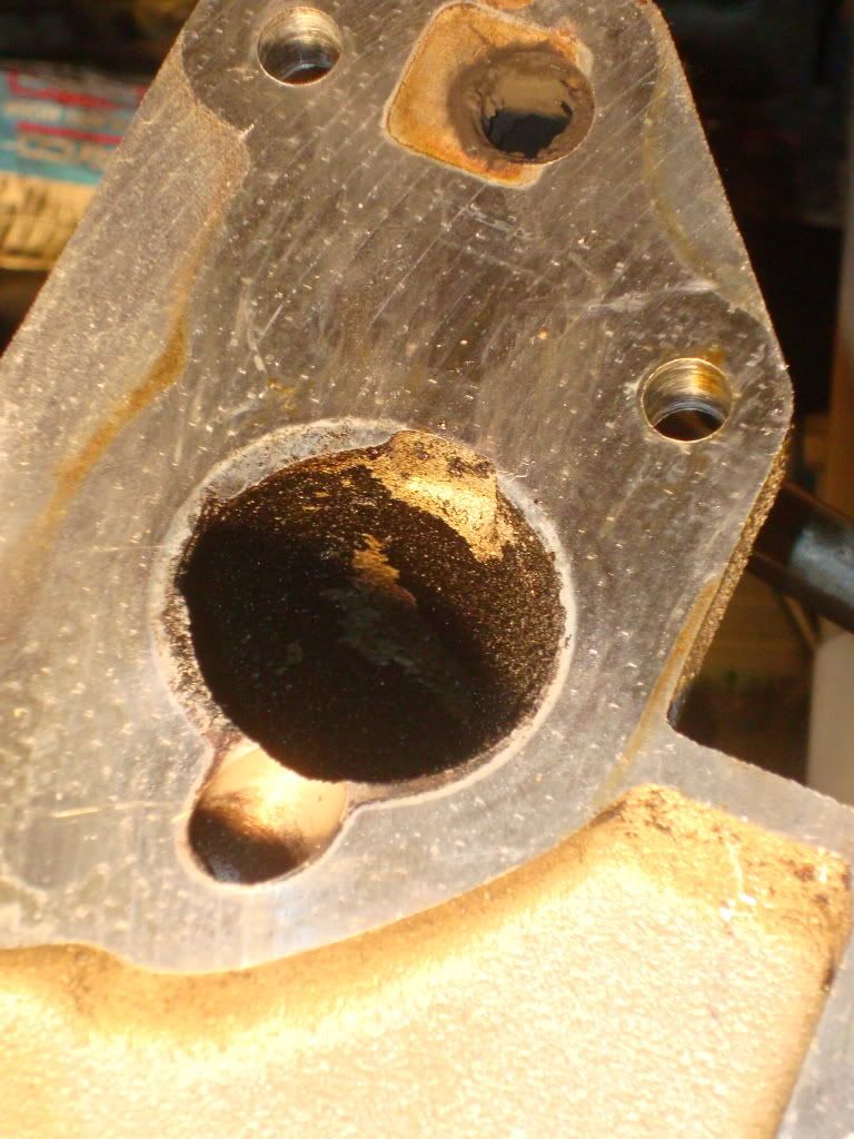 DSC04830.jpg