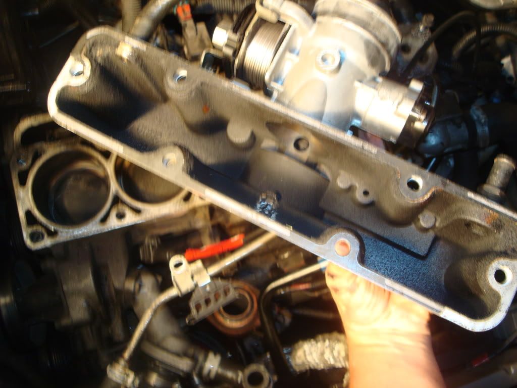 DSC04835.jpg