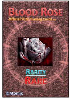 YCMTradingCard1-1.png