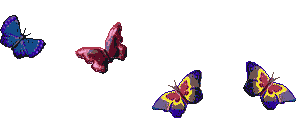 children's entertainer dance with butterflies banner