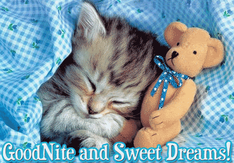 9_good_night_kitty_teddy.gif