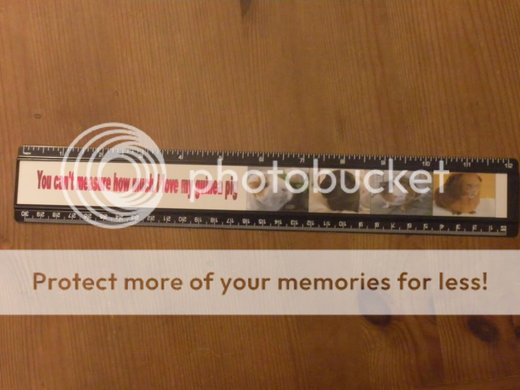 ruler12inch002.jpg