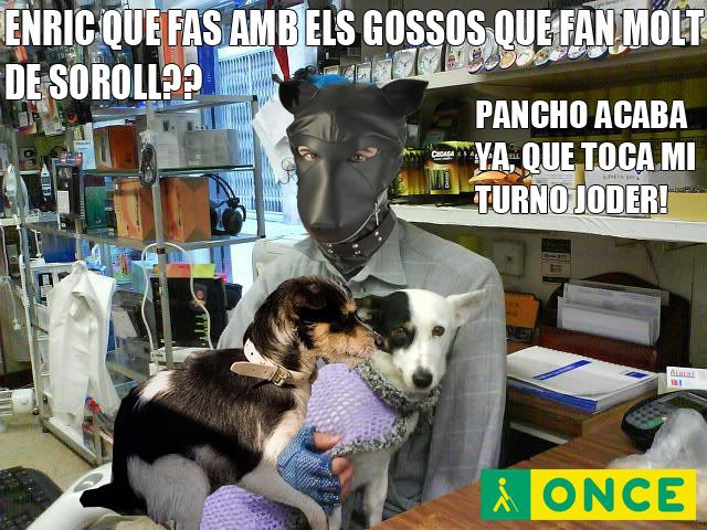 panchox.jpg